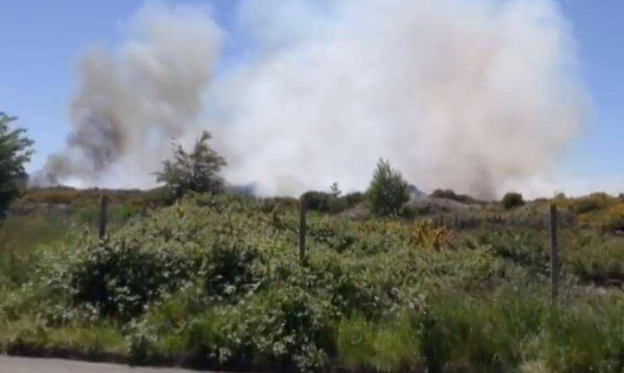 Bomberos intentan agilitar llegada de camiones aljibes a la región para combatir incendios 