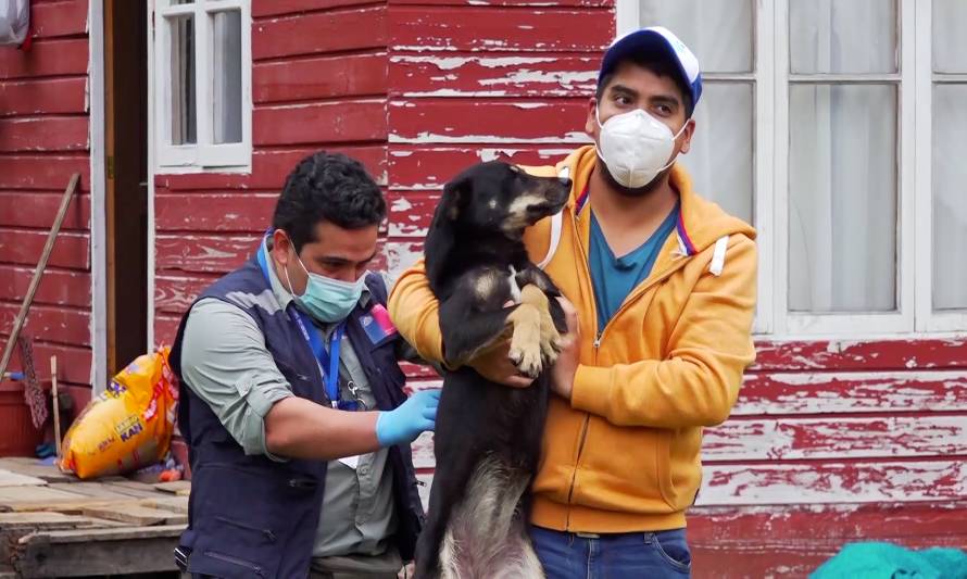 Autoridad sanitaria vacuna a mascotas en Chamiza tras detección de murciélago con rabia