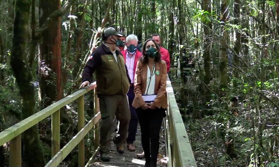 Lanzan proyecto para la gestión sustentable de mas de 25 mil hectáreas de bosque nativo en Chile.