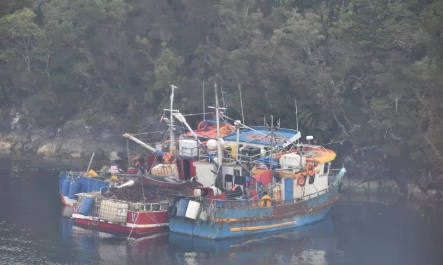 Sernapesca sorprende a 46 embarcaciones en zona de pesca de Aysén incumpliendo la normativa pesquera
