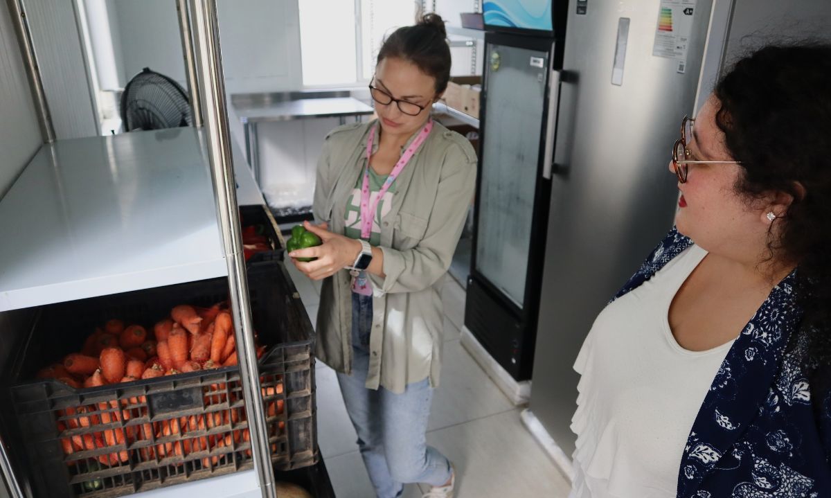 Ecomercado Solidario de Puerto Varas cumple un año recuperando y donando alimentos