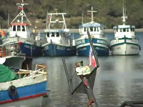Subsecretario de pesca visitará Puerto Montt