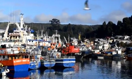 Compleja situación viven los pescadores artesanales debido al mal tiempo