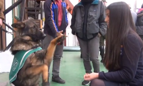 Escolares conocieron grupo de formación de Carabineros en Puerto Montt