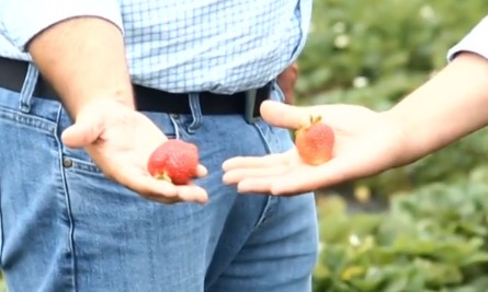 La organización de agricultores es primordial para el éxito de la agricultura