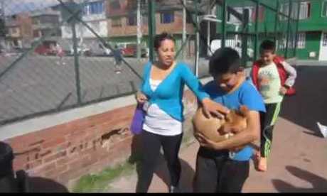 Esterilizarán a 3 mil mascota en Osorno