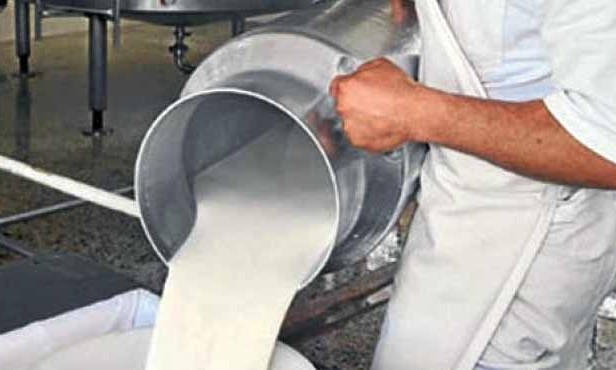 Parlamentarios preocupados por la situación de productos lácteos solicitan salvaguardia