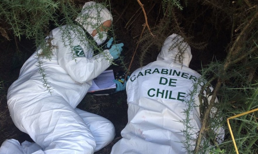 Condena de 7 años a violador que asechaba la cuesta O'Higgins en Puerto Montt