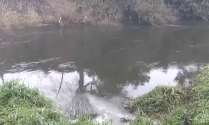 Denuncian contaminación en Río Damas en Osorno