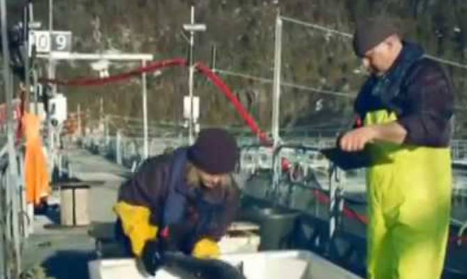 Se llevó a cabo Mesa de trabajo para abordar el problema de Salmones