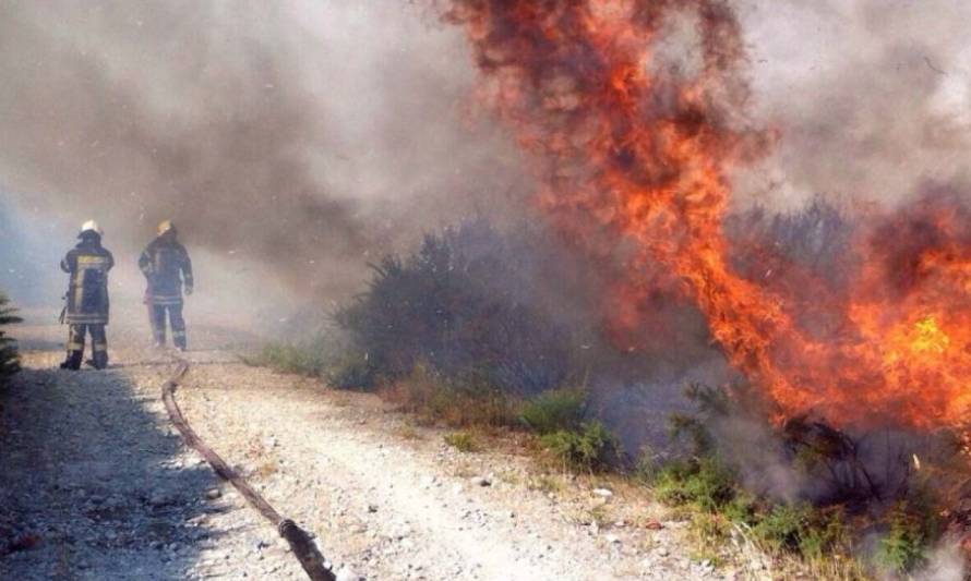 Se declara Alerta Temprana Preventiva para la Región de Los Lagos por amenaza de incendio forestal