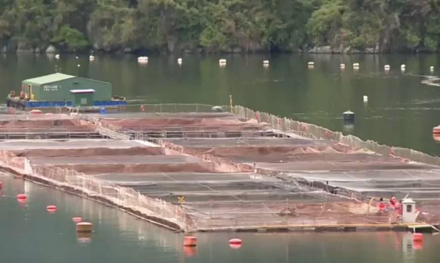 Biotecnología desde Puerto Varas para el mundo