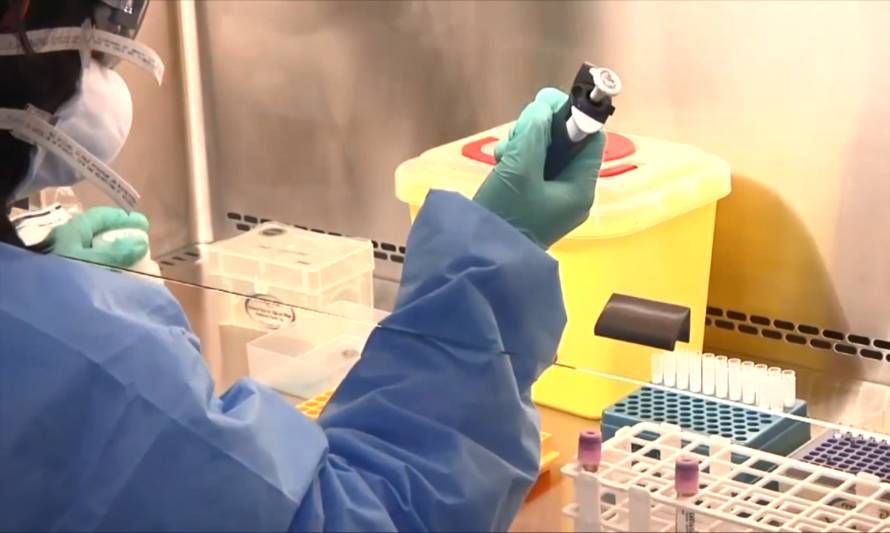 Trasladan a Santiago a adolescente osornino por sospecha de contagio de virus Hanta