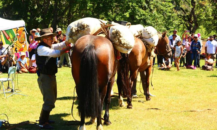 Con Fiestas Costumbristas, festivales y shows musicales Futaleufú se prepara para recibir turistas