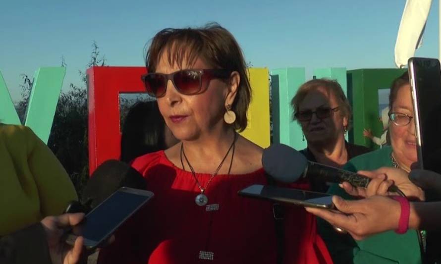 Reclamos en la Ruta Internacional 215 en las cercanías de Puyehue afecta el turismo