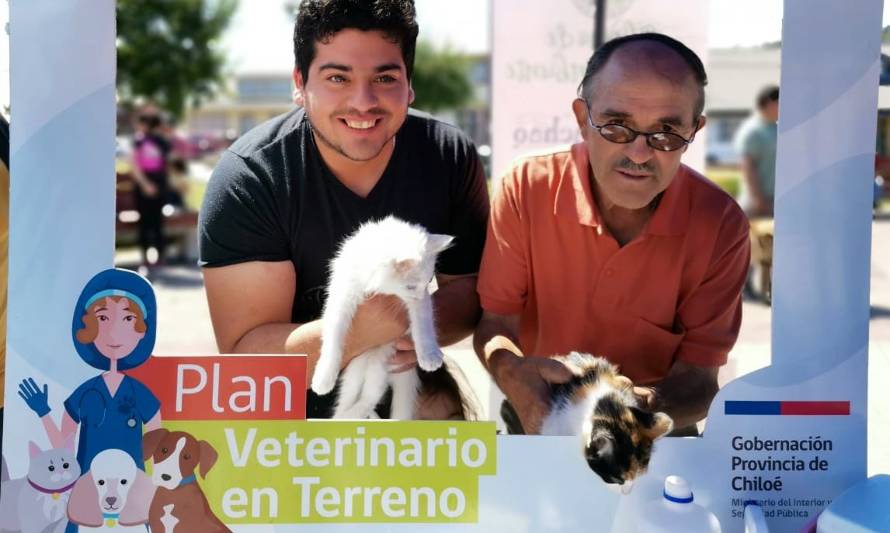 Plan Veterinario en Terreno lleva 2 mil mascotas «chipeadas» en Chiloé