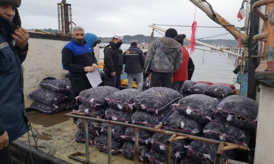 Autoridad Marítima y Sernapesca incautan 750 kilos de choritos en Castro
