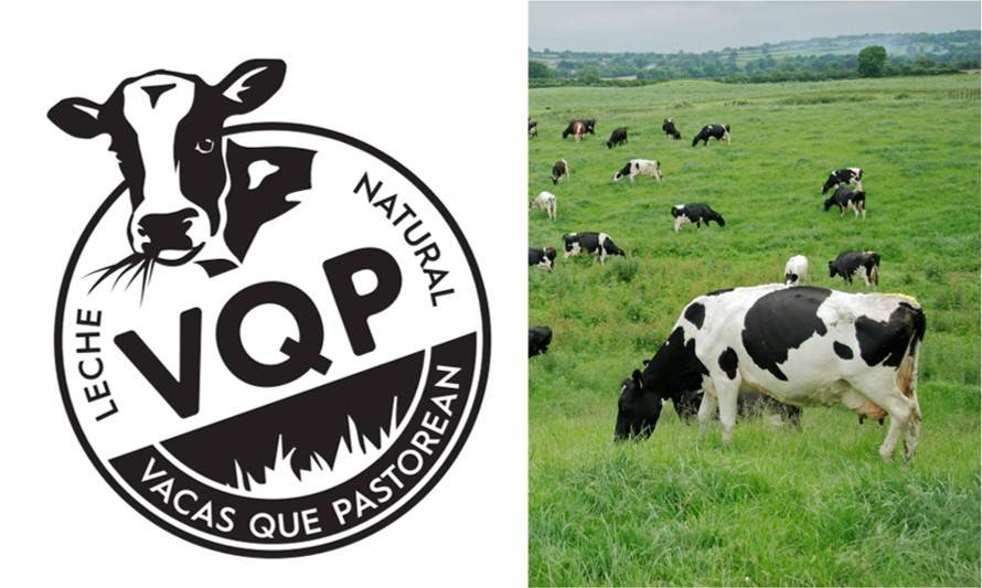 #LIVE: Sigue en directo la Ceremonia de Solicitud del Sello de Origen de la Leche VQP “Vacas que Pastorean”