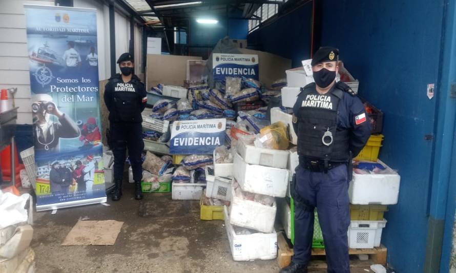 Policía marítima de Chacao detecta detecta planta clandestina de procesamiento de locos