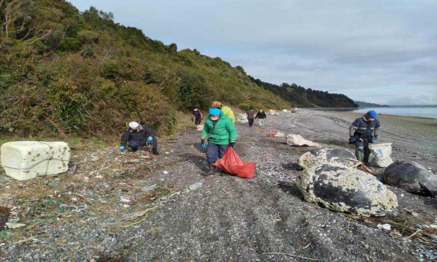 Personal naval participó en la limpieza de playa en Isla Lemuy