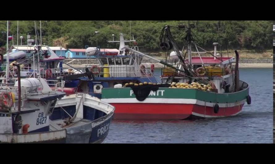 Pescadores acusan nulo avance en el tema de las zona contiguas