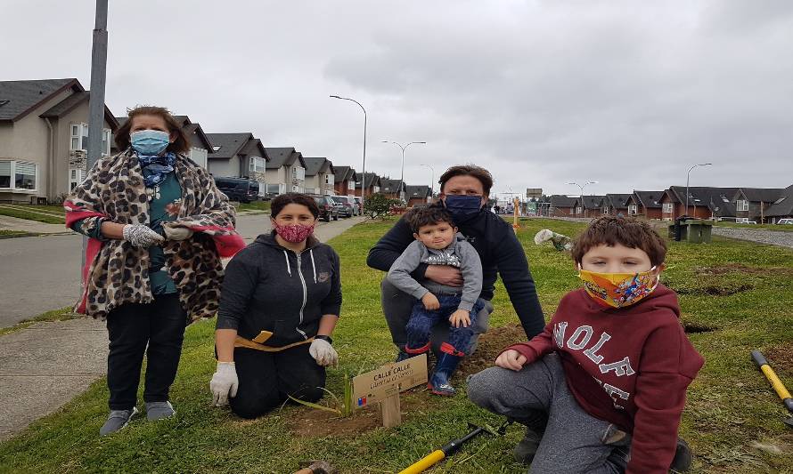 Conaf arborizó en Puerto Varas con árboles y arbustos nativos