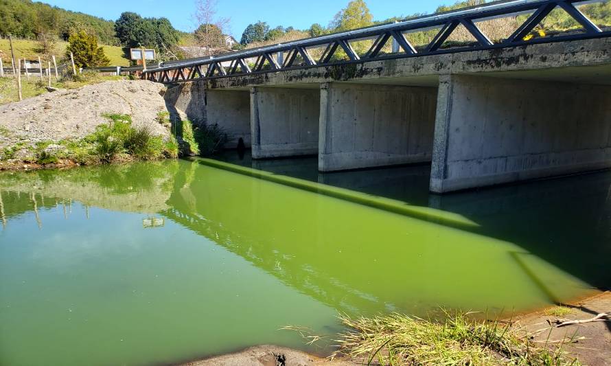 Floración de algas causa problemas de abastecimiento de agua potable en Queilen
