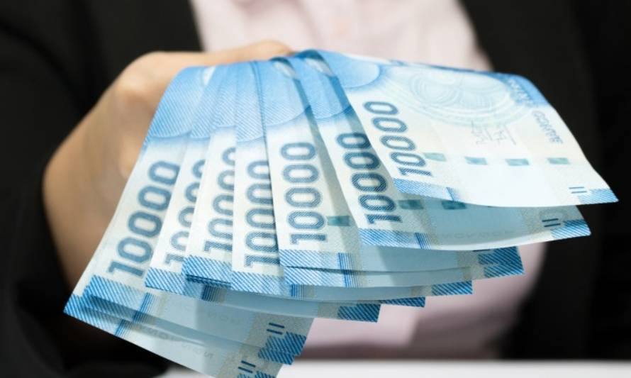 Ingreso promedio mensual en la región de Los Lagos fue de $522.056 en 2019
