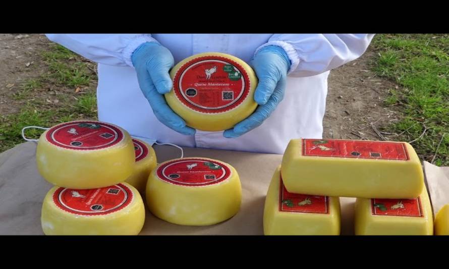 Productores de queso valoran fundamental apoyo del Ministerio de Agricultura e INIA Remehue