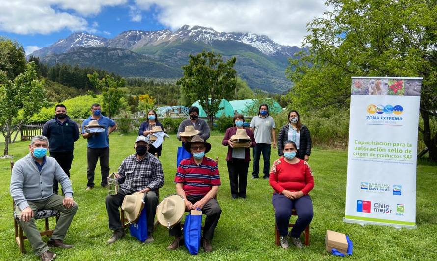 Minagri fortalece trabajo con apicultores de Futaleufú