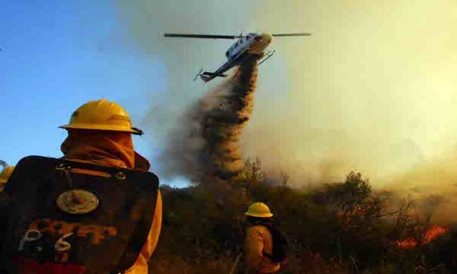 Se declara Alerta Roja para la comuna de Castro por incendio forestal