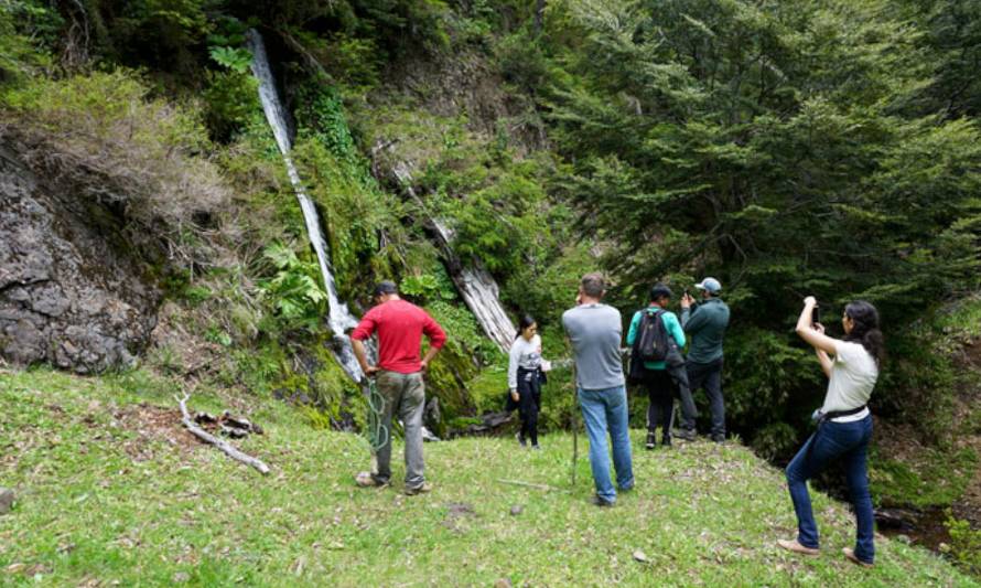 Anuncian primer llamado a subsidios para el turismo y la industria creativa 