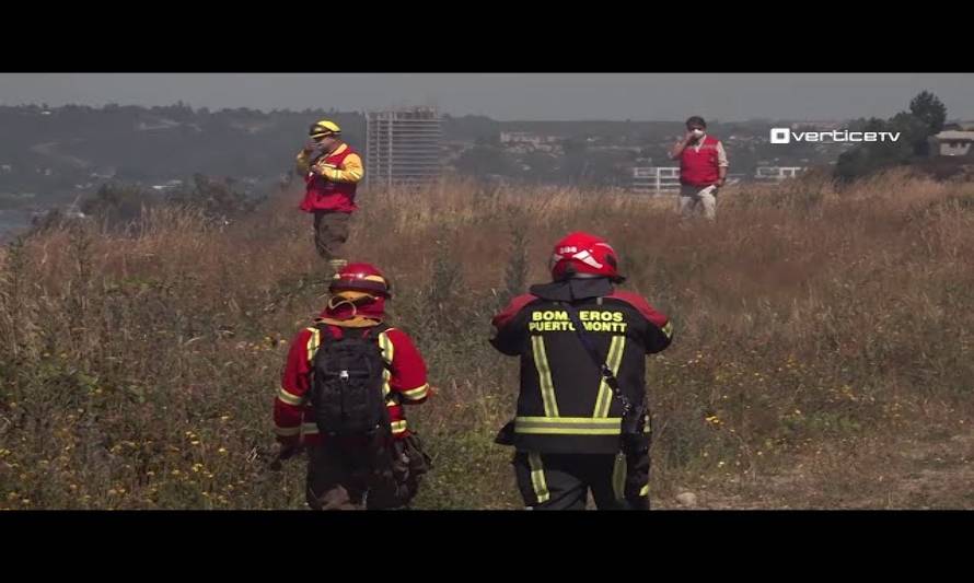 Conmemoran día del brigadista forestal en Los Lagos