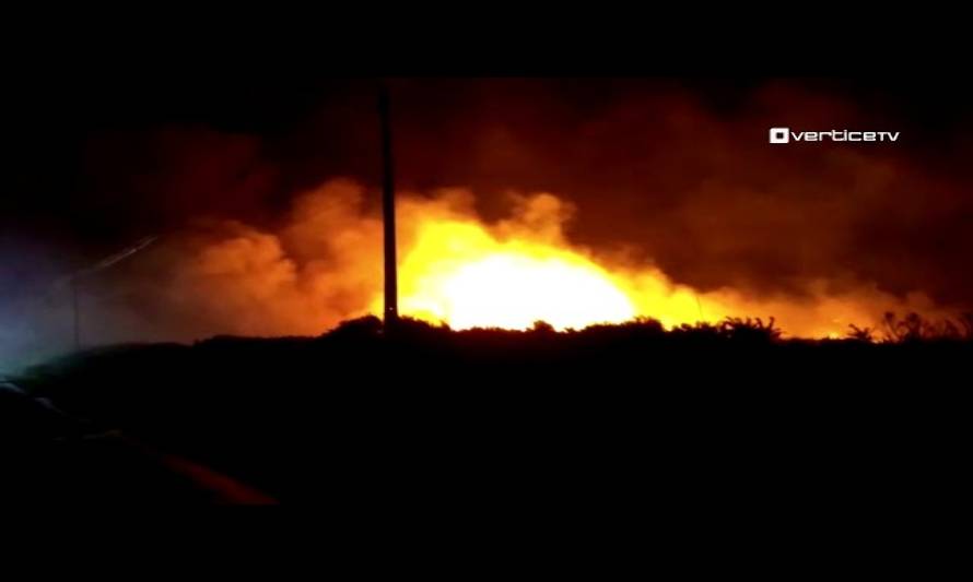 Incendio forestal afectó 14 hectáreas en Alerce Sur