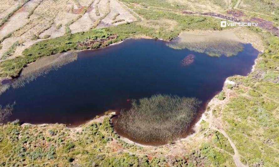 Vecinos de Valle Volcanes se movilizan para proteger humedales