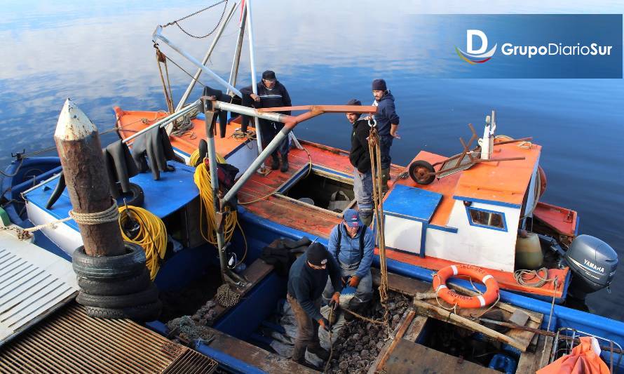 Pescadores artesanales de la región podrán integrar directorio de Fundación Chinquihue