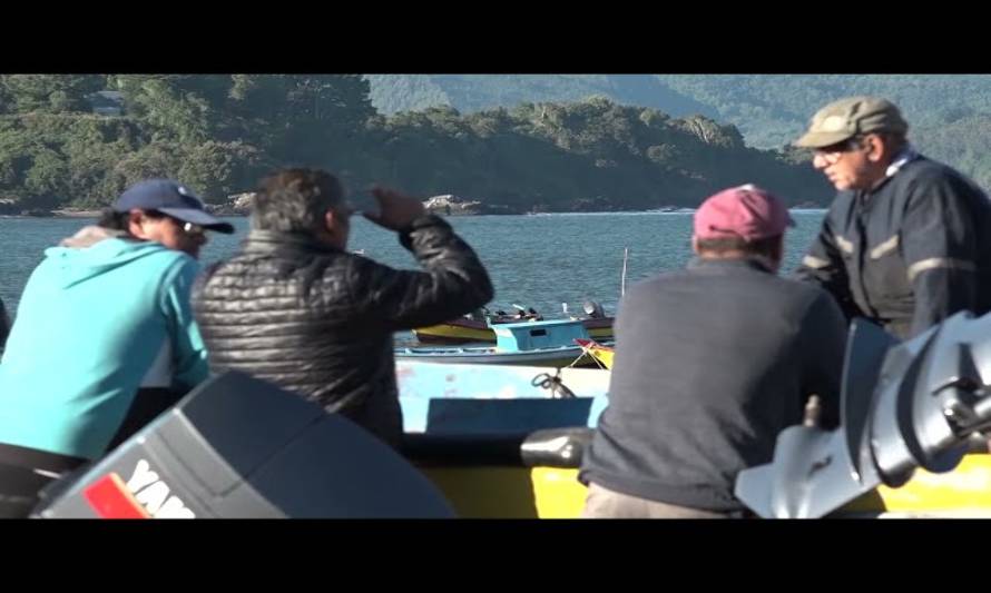 Pescadores artesanales preocupados por ley Supersol