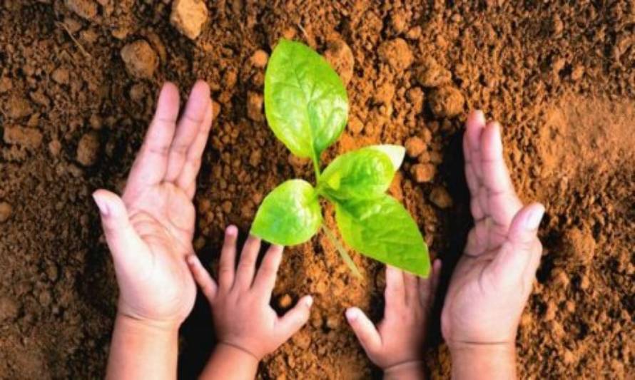 Seremi del Medio Ambiente invita a establecimientos educacionales a postular a Proceso de Certificación Ambiental 2021