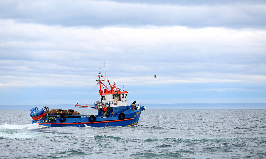Pesca pelágica: Subpesca regula traspaso de excedentes de captura entre embarcaciones para evitar descarte