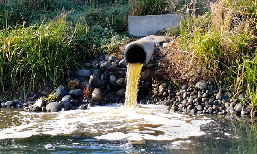 Consejeros regionales harán seguimiento a denuncia de vertimiento de riles en el río Maullín