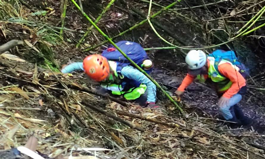 Así fue la búsqueda del joven desaparecido en los faldeos del Puntiagudo