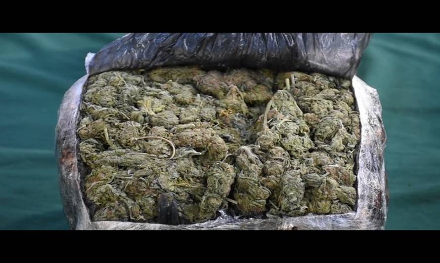 25 kilos de marihuana y casi 500 pastillas de éxtasis fueron decomisadas en la operación “Karol G”