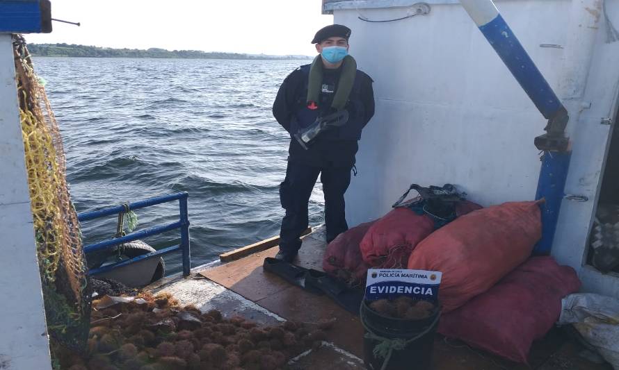 En dos procedimientos autoridad marítima incautó un total de 1.150 kilos de recursos del mar