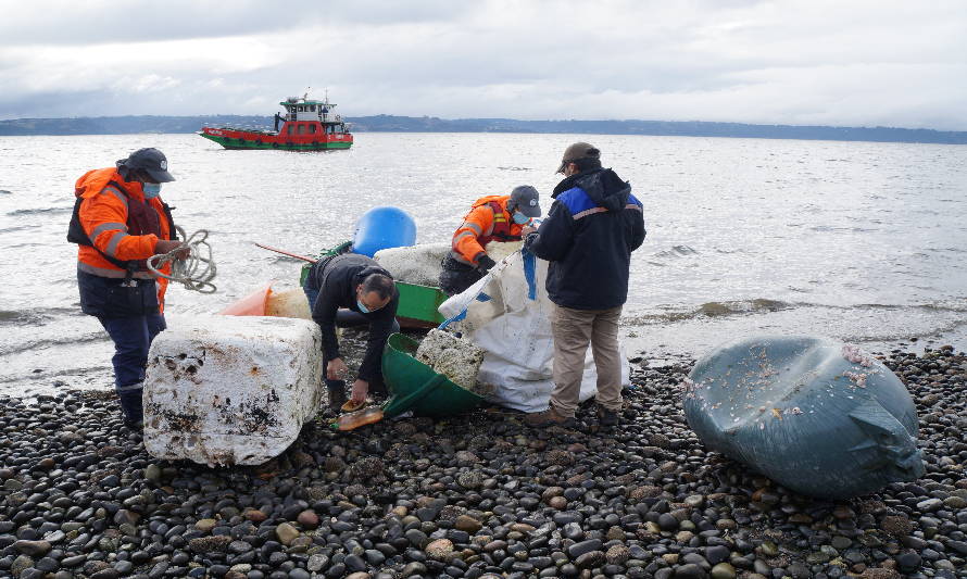 Consejo del Salmón publica el primer reporte del programa de sustentabilidad “¡Juntos, Limpiemos Nuestras Costas!” 