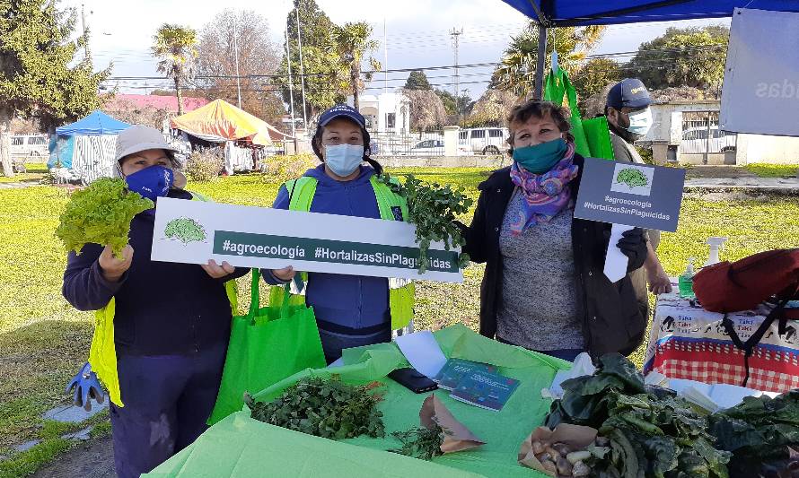 Instalan "Mercado Simulado" en Río Bueno para diferenciar productos hortícolas agroecológicos