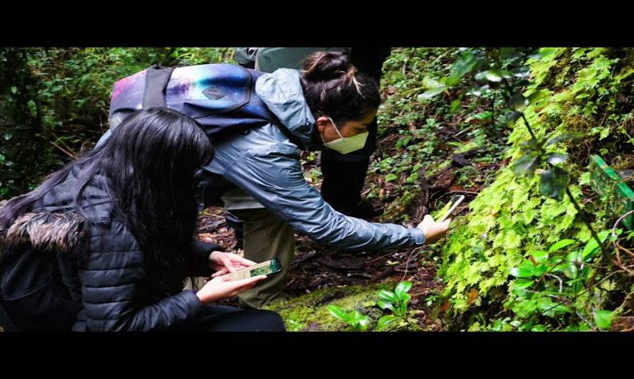 Comunidades participan en talleres de Tompkins Conservation en el Parque Alerce Andino