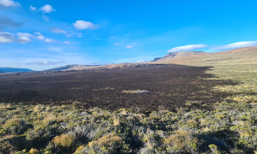 Logran controlar incendio en Parque Nacional Patagonia