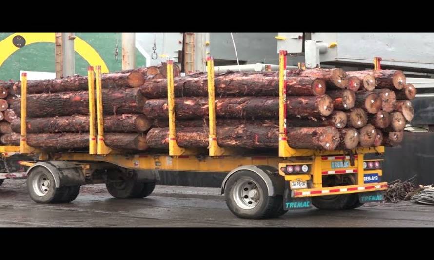 Por primera vez, los rollizos exportados serán fumigados mientras navegan