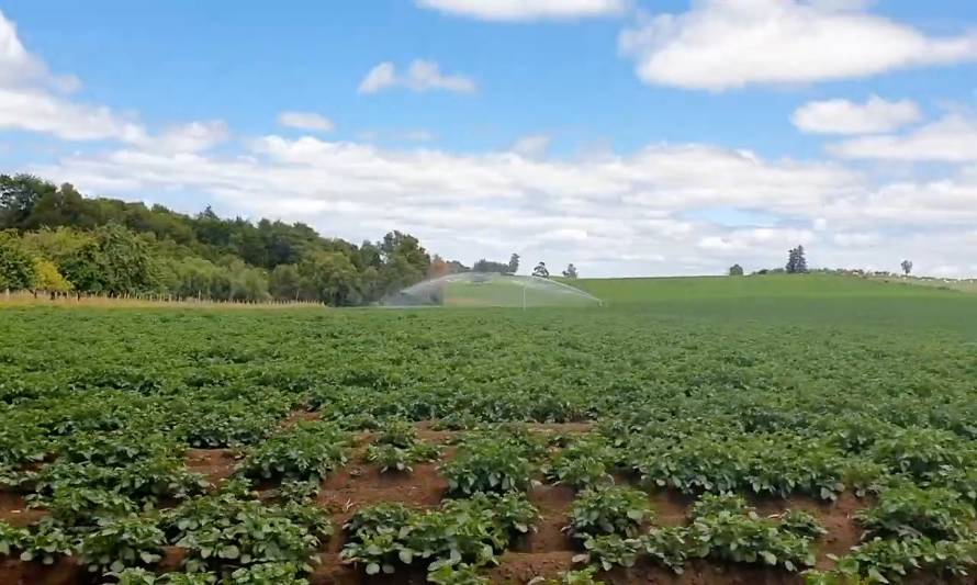 DOH multó a agricultor por extraer agua del Estero Oyarzo