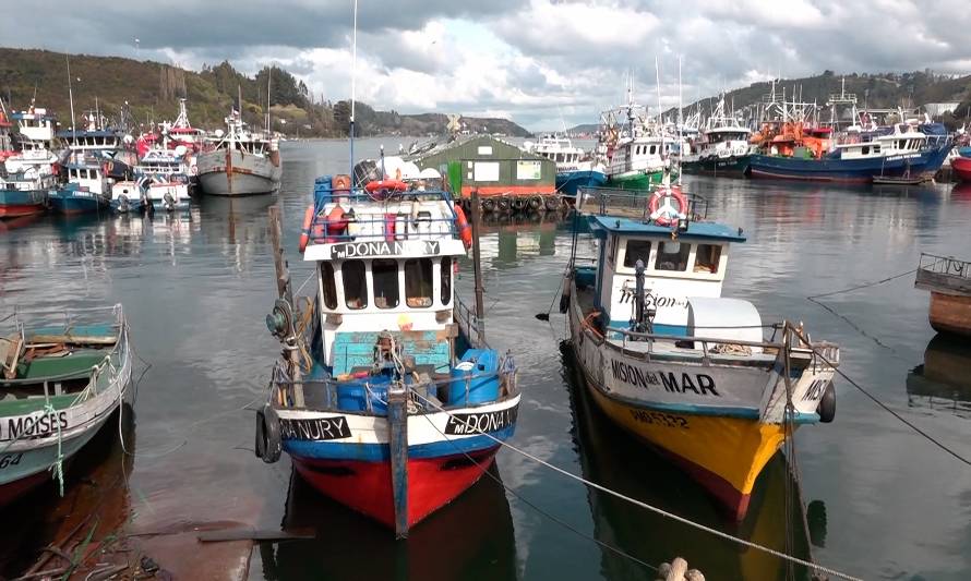 Caleta de pescadores de Anahuac cumplió 25 años